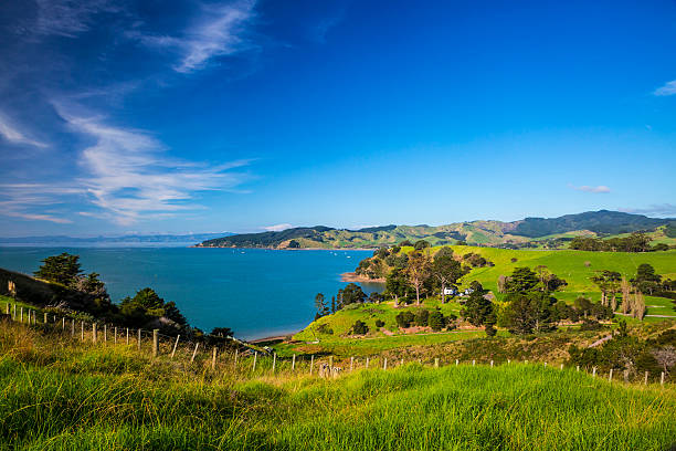 istock New Zealand countryside 528722394