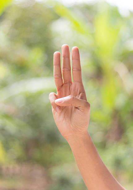 istock hand of counter number three  gesture 528722543