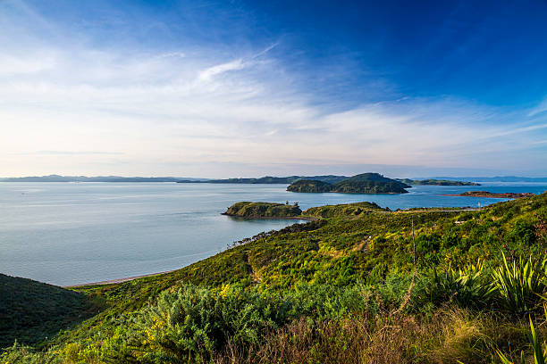 istock New Zealand countryside 528722552