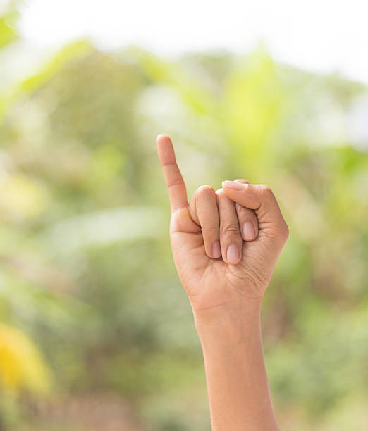 istock Hand of promise gesture against nature background 528722675