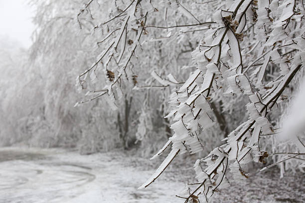 istock hoarfrost winter landscape 528723513