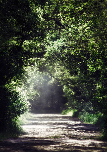 istock Summer natural background, landscape with stone blocks road 528724114