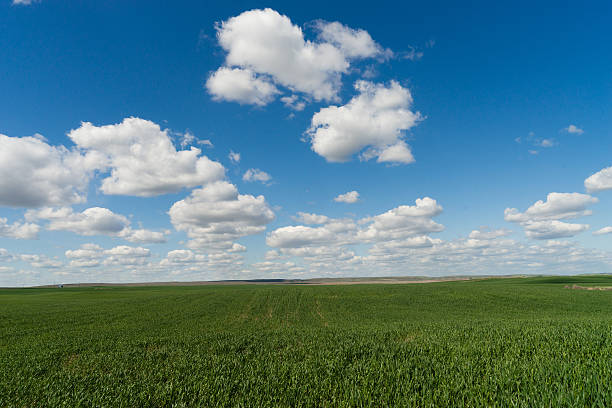 istock Farm Field Springtime Horizon Rural Countryside Fluffy Clouds 528724400