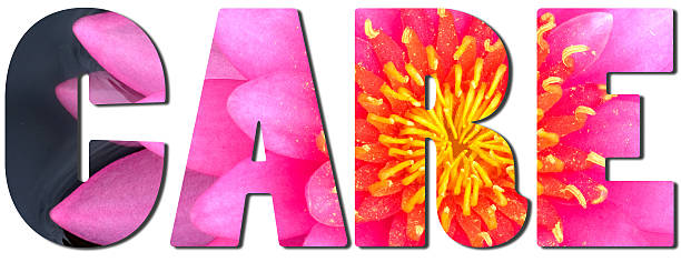Care text filled with an image of pink waterlily