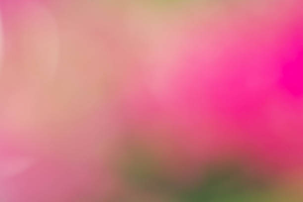 istock light pink background with vintage grunge texture 528725023