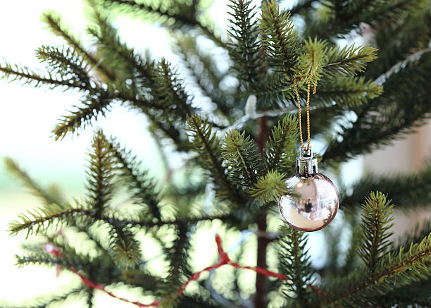 istock christmas ball on tree, christmas decoration background 528725119