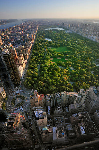 veduta aerea di central park a manhattan, new york, - central park foto e immagini stock