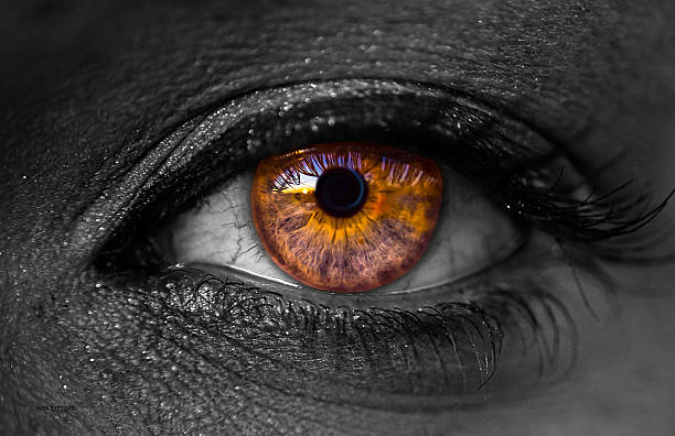 istock Close Up Pretty Woman Eye Long Eye Lashes 528725307
