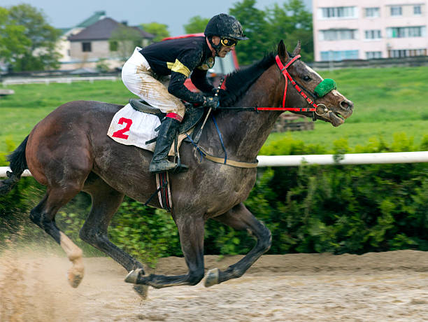 istock Horse racing in Nalchik. 528725822