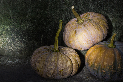Pumpkins on the concrete floor at night