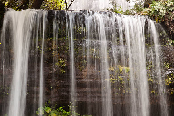 istock Mount Field National Park - Tasmania 528727053