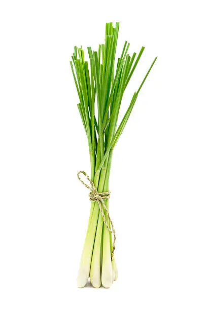 Fresh Lemongrass (citronella) isolated on white background, with clipping path.