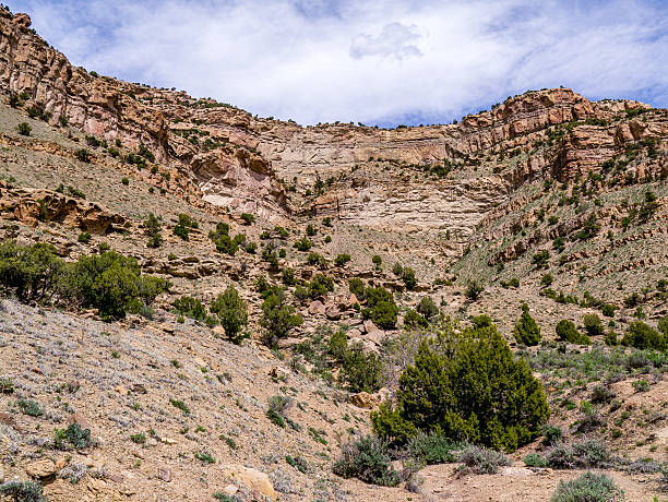 istock Red Rock Cirque in High Desert 528728444