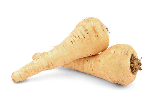 pastinaga isolado-imagem stock - parsnip vegetable food winter imagens e fotografias de stock