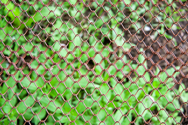 istock Background of the metal wire mesh fence 528731414