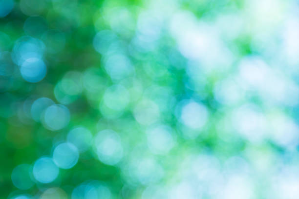 istock Blurred green lights circular bokeh abstract for Christmas back 528732690