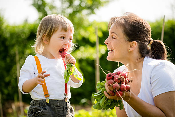 świeże rzodkiewki są przepyszne - baby eating child mother zdjęcia i obrazy z banku zdjęć