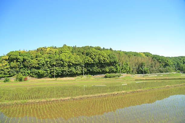istock The landscape of Satoyama. 528733324