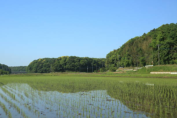 istock The landscape of Satoyama. 528733512