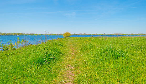 istock Shore of a lake in spring 528734714