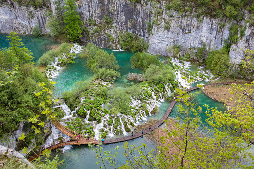 Fresh Springtime. View to the boardwalk at Plitvice Lakes (Croatia). In 1979 the Plitvice Lakes National Park was declared as an UNESCO World Natural Heritage site. The landscape looks like a green paradise.