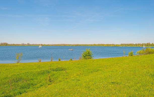 istock Shore of a lake in spring 528735072
