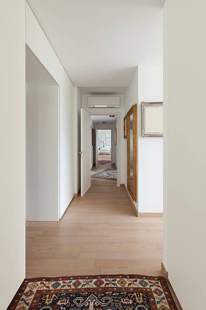istock Interior of new apartment, corridor 528737700