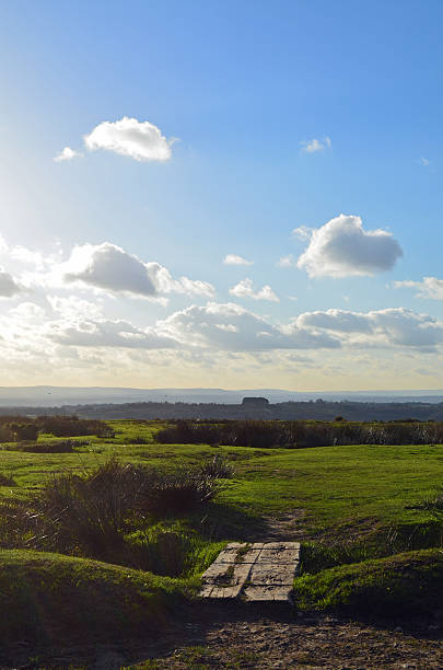 Once a Medieval hunting area Ashdown Forest is now enjoyed by all. Image shot in December using a Nikon D5100 with a prime lens. no edit or filter.
