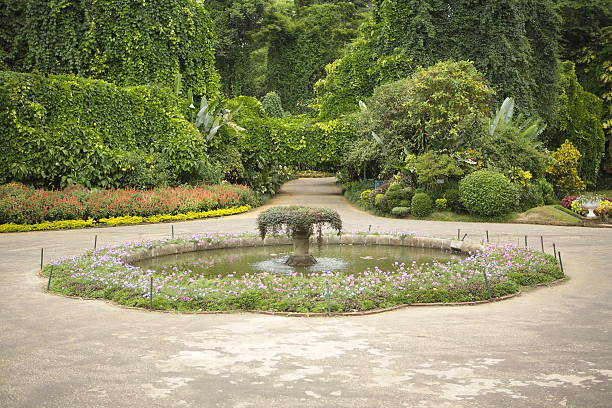 istock Beautiful exotic garden with water pool 528738659