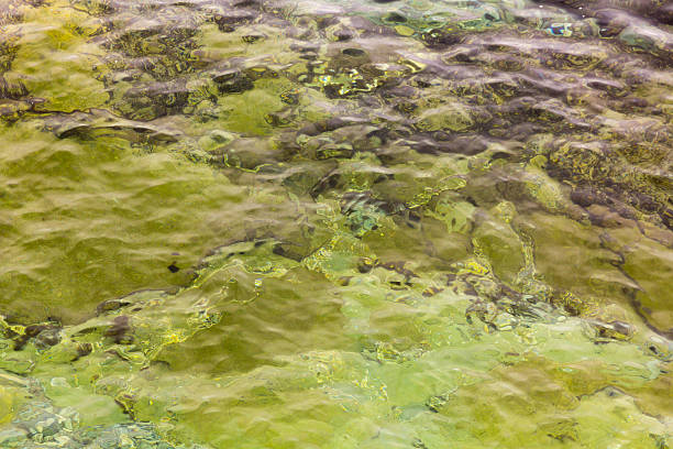 istock Background with crystal clear water and small waves and rocks 528739188