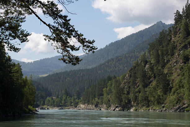 istock Green hills of Altai 528739319