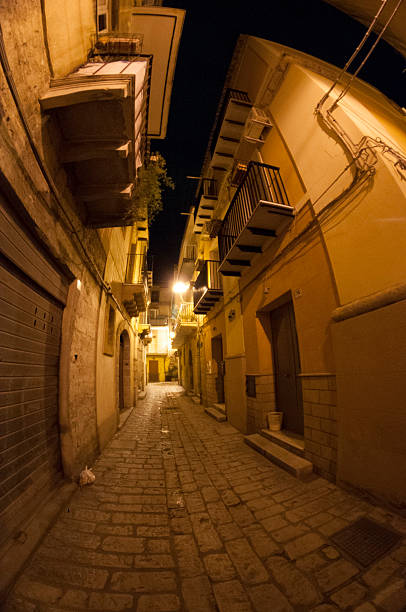 istock spooky Alley at night taken using a fisheye 528740574