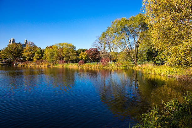 istock View of Central Park in Manhattan 528743911