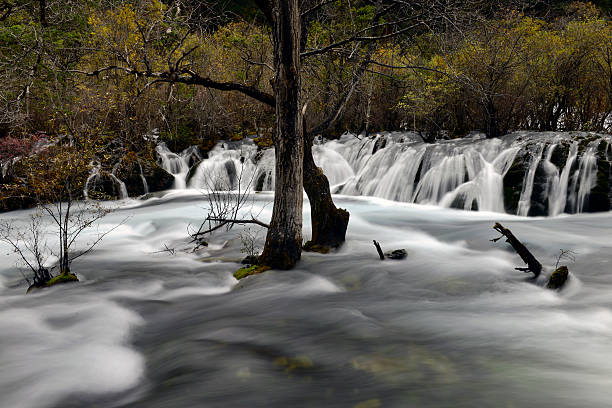 istock Shuzheng fall, Jiuzhaigou 528744019