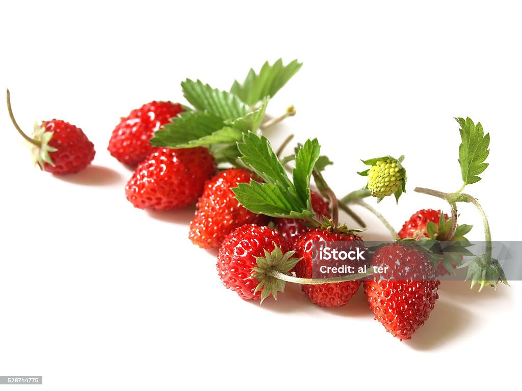 Woodland Strawberry (Fragaria vesca) - Royalty-free Wilde aardbei Stockfoto
