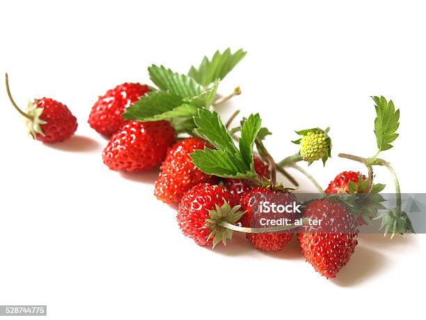 Woodland Strawberry Stockfoto en meer beelden van Wilde aardbei - Wilde aardbei, Bessen, Blad