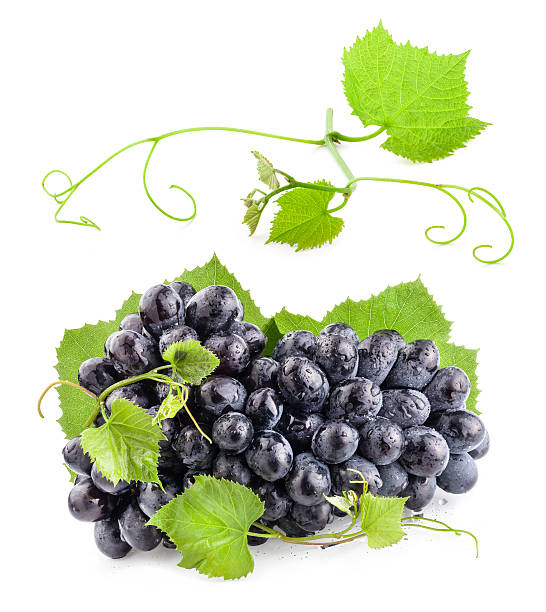 istock Grapes with green leaves 528745023