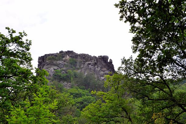 festung regenstein - regenstein ストックフォトと画像