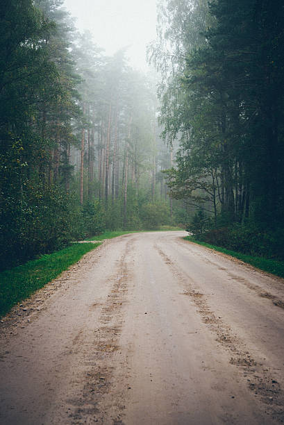 istock empty country road. Retro grainy film look. 528763637