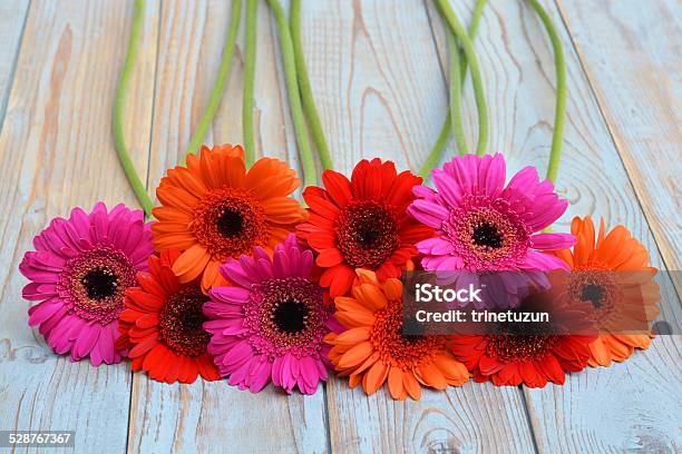 Colored Gerber Daisies On Old Wood Stock Photo - Download Image Now - Bouquet, Bunch of Flowers, Cheerful