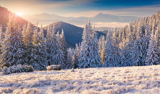 istock Beautiful winter morning in the mountains 528767481