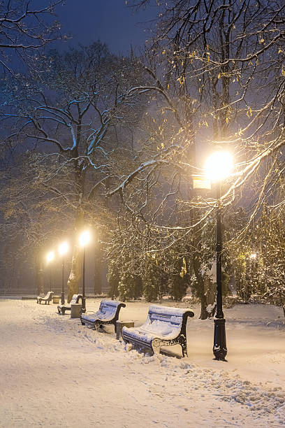 istock Footpath in a fabulous winter city park 528767687