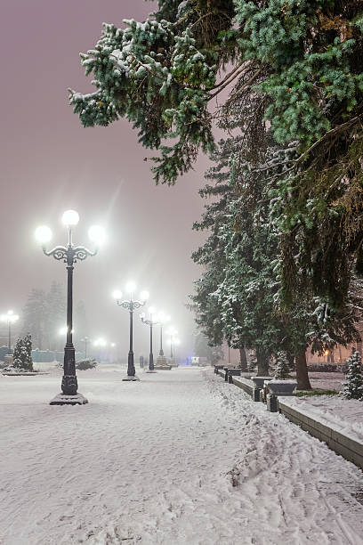 istock Footpath in a fabulous winter city park 528768373