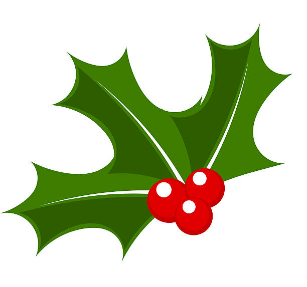 holly berry - christmas holly mistletoe symbol stock-grafiken, -clipart, -cartoons und -symbole