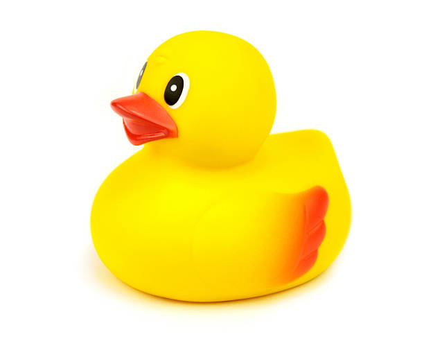 istock Yellow rubber duck on white background 528777115