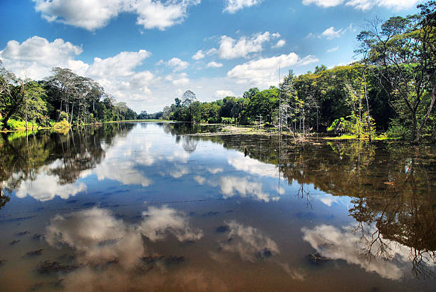 istock River in Cambodia / Siem Reap 528777499