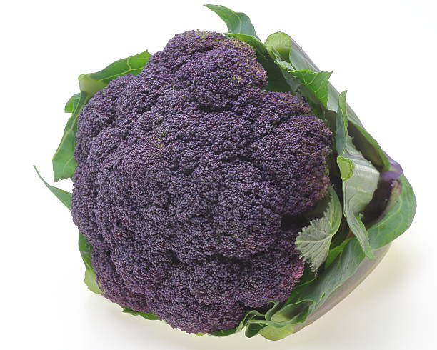 Purple broccoli with leaf stock photo