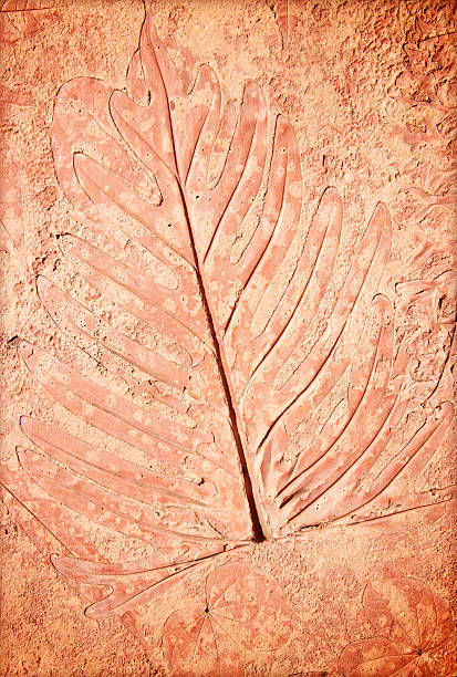 istock marks of leaf on the concrete 528778255