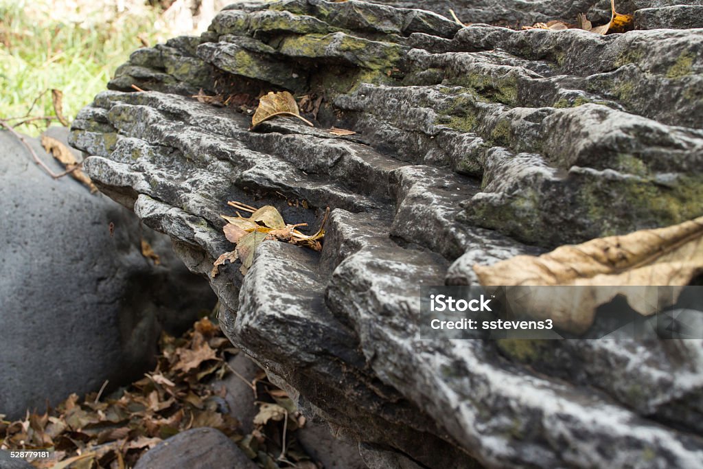 Terraced Rock Fallen leaves on a terraced rock.  Oak Creek Canyon, AZ, USA. American Culture Stock Photo