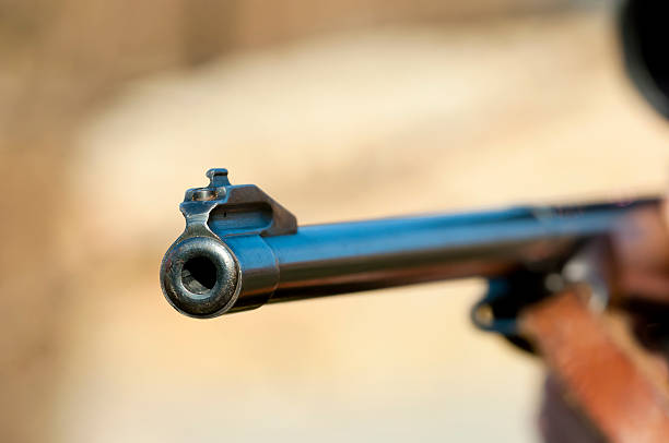 istock Barrel of a gun 528780103